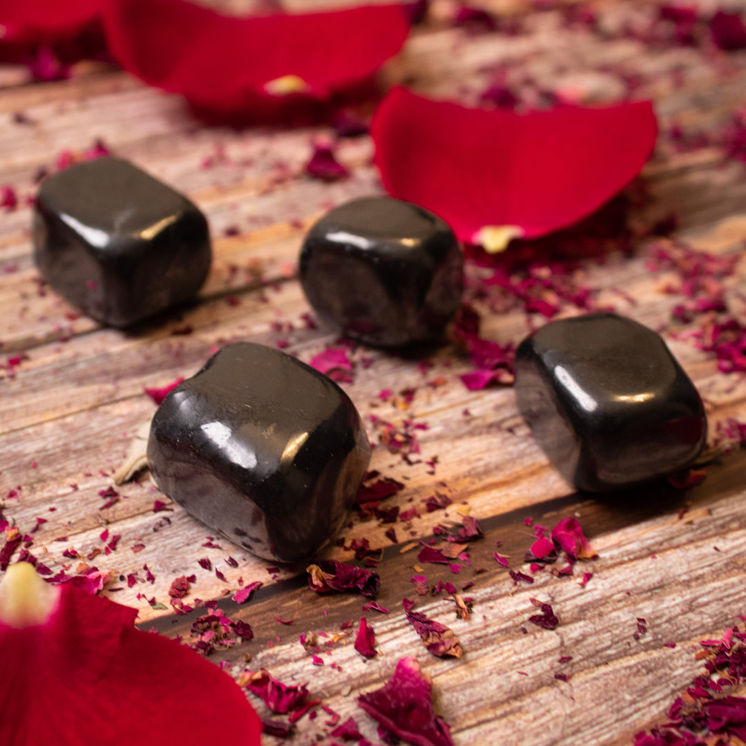Shungite Tumble