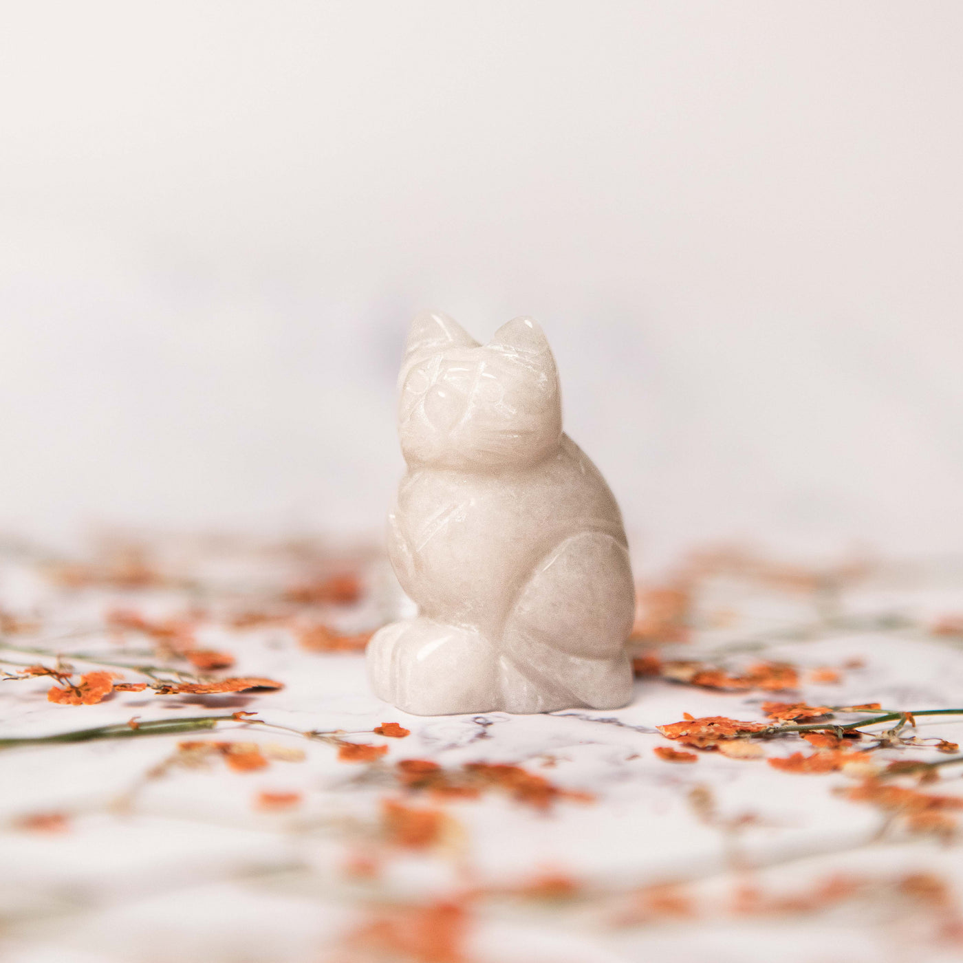 Crystal Cat