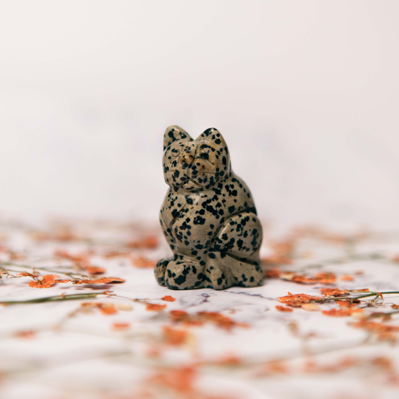 Crystal Cat