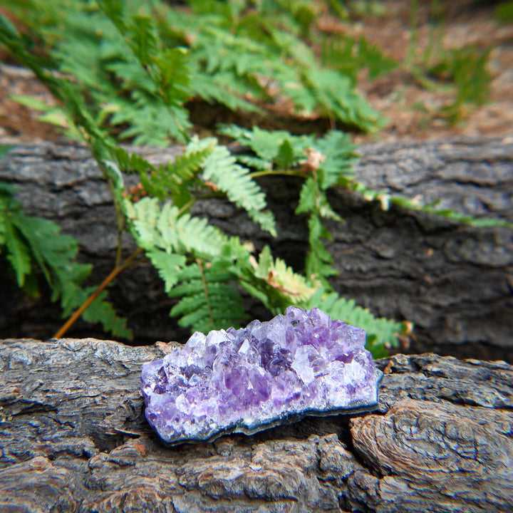 Natural Amethyst Cluster for Peace & Relaxation (in 3 Sizes)