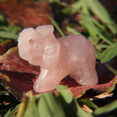 2 inch Rose Quartz Hand Carved Elephant Crystal