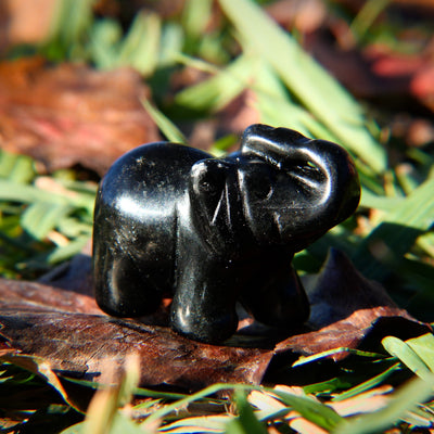 2 inch Black Onyx Hand-Carved Elephant Stone