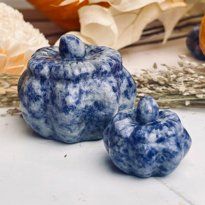 Sodalite Pumpkin Set