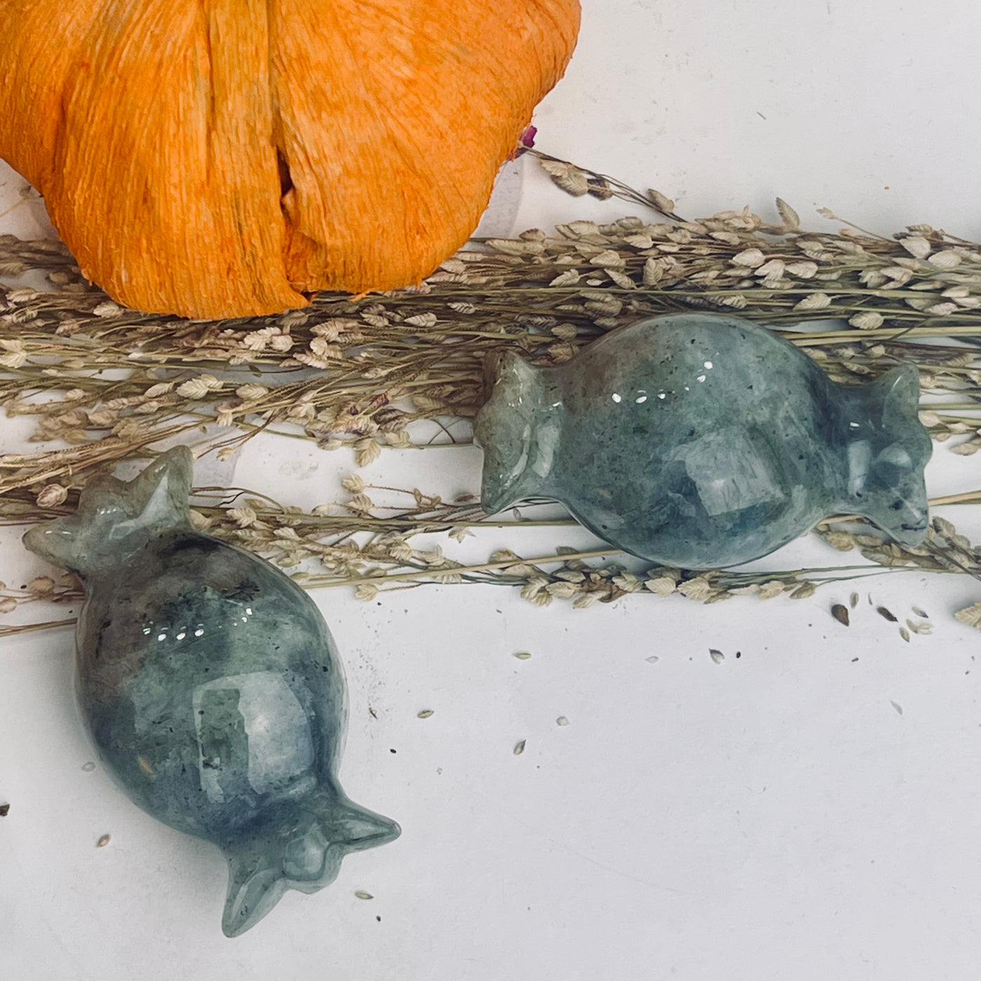 Moonstone Trick Or Treat