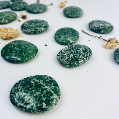 Tree Agate Coin